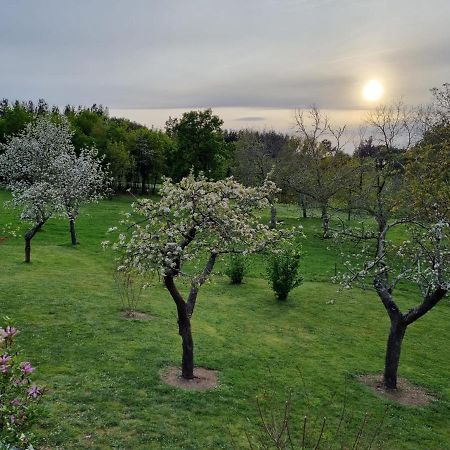 Casa Pro Pantea Villa Monforte De Lemos Eksteriør billede