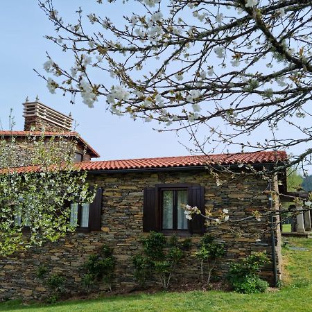 Casa Pro Pantea Villa Monforte De Lemos Eksteriør billede